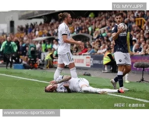 利兹联球迷两度向热刺球员投掷物品或将遭遇高额罚款